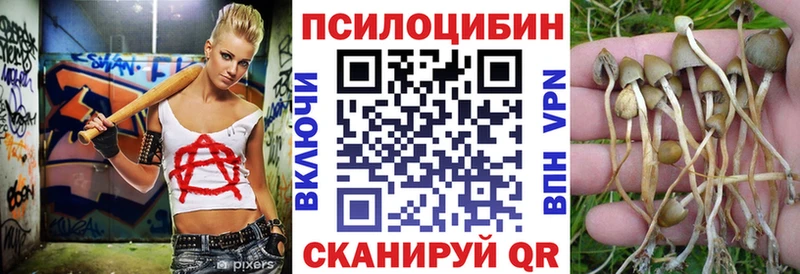 Купить Фатеж Псилоцибиновые грибы мицелий